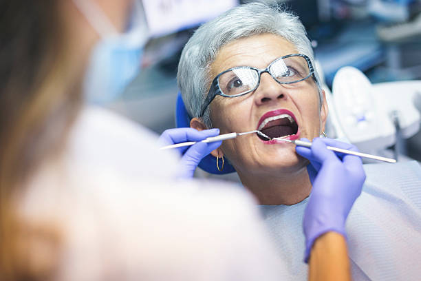 Professional  Holistic Dental Services in Castle Rock, CO